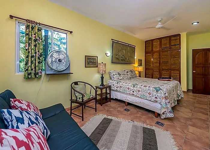 Casa Gatos