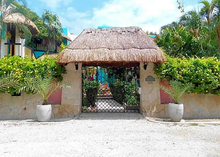 Casa Gatos Riviera Maya
