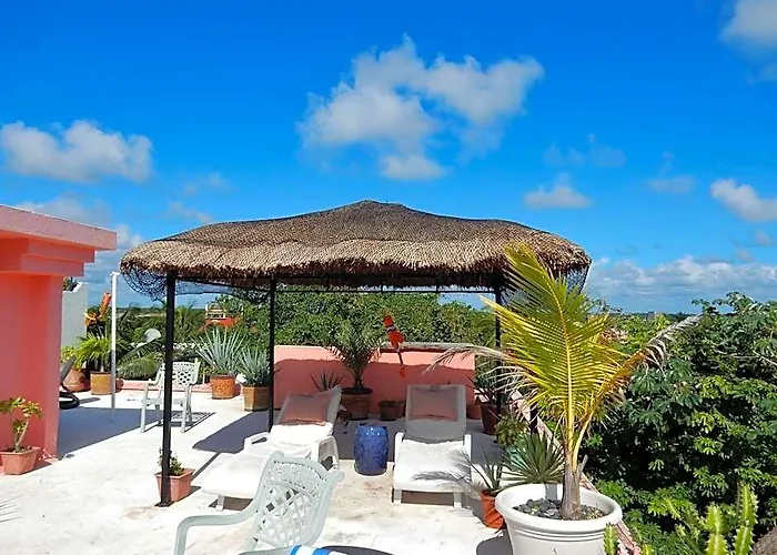 Casa Gatos Hotel Riviera Maya