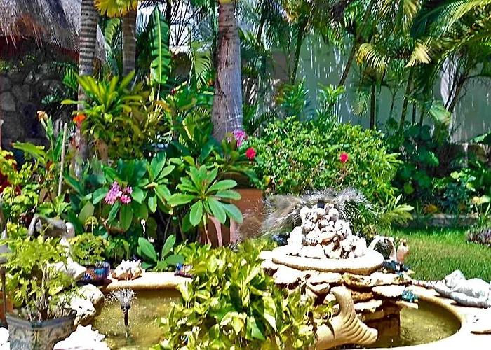 Casa Gatos Hotel Riviera Maya