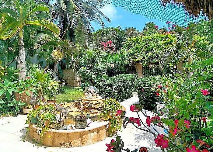 Casa Gatos 3*