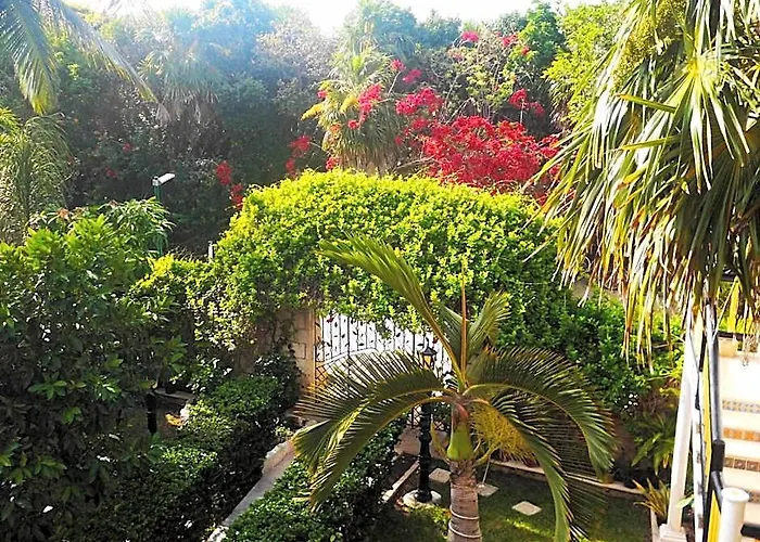 Casa Gatos Riviera Maya