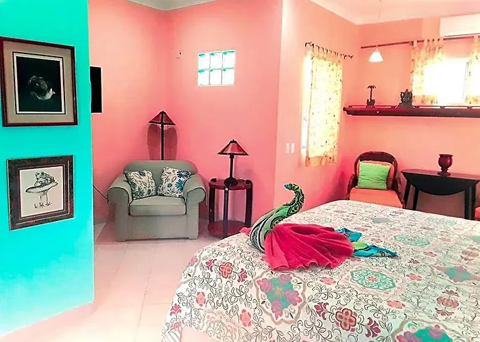 Casa Gatos Hotel Riviera Maya