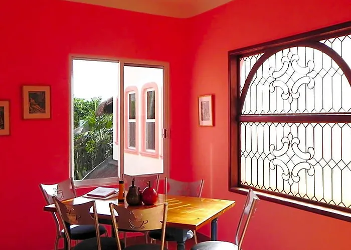 Casa Gatos 3*