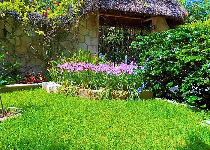 Casa Gatos 3*