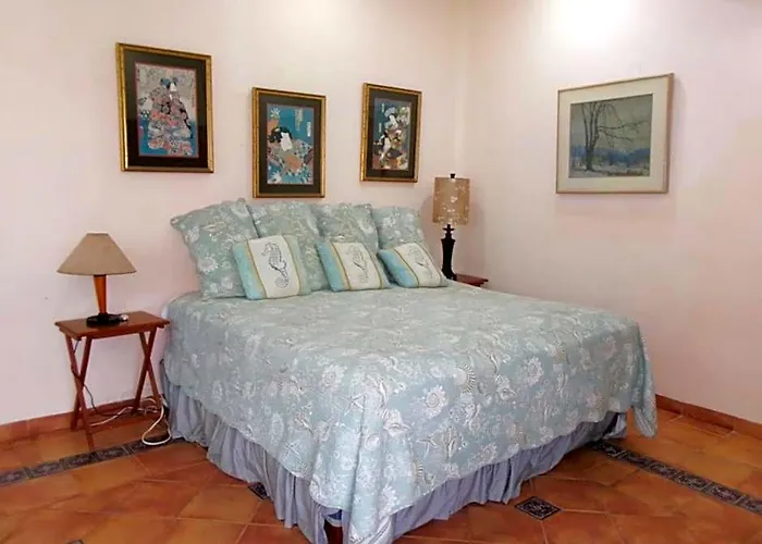 Casa Gatos 3*