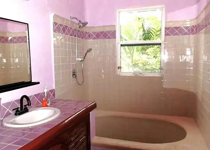 Casa Gatos Riviera Maya