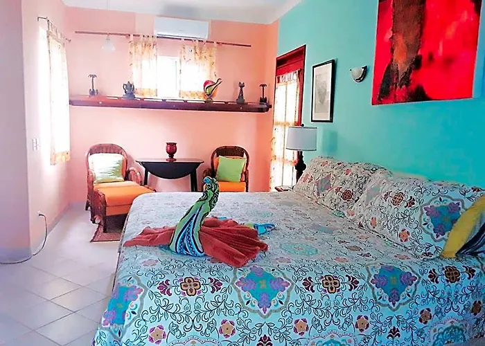 Casa Gatos Hotel Riviera Maya