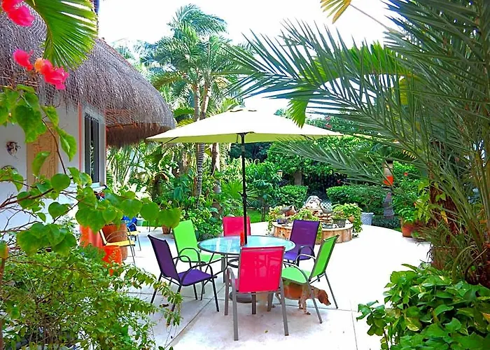 Casa Gatos 3*