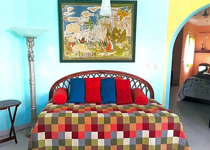 Casa Gatos 3*