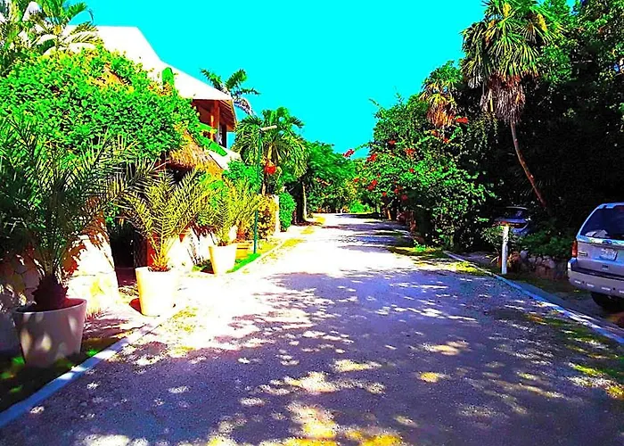 Casa Gatos Riviera Maya