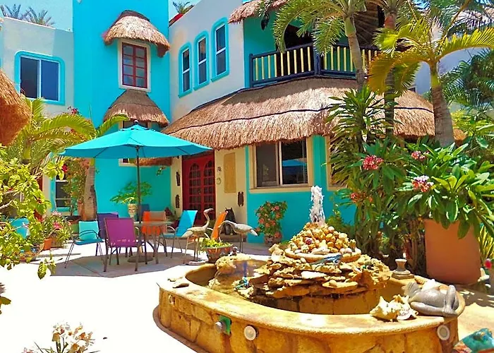 Casa Gatos
