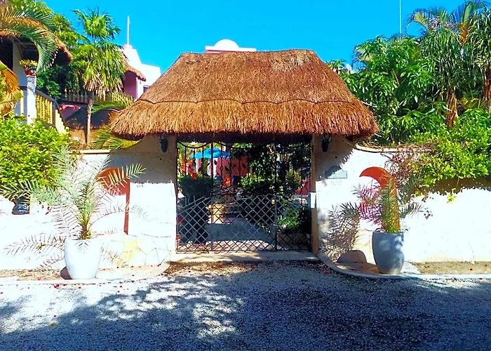 Casa Gatos Riviera Maya