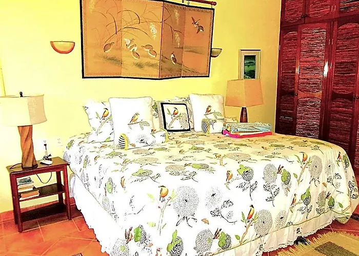 Casa Gatos Riviera Maya